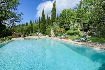 A swimming pool set within mature trees