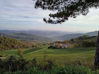 Rolling hills with a small hamlet of houses