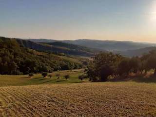 Fields and hills at dusk