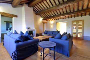 Sofas arranged around a fireplace