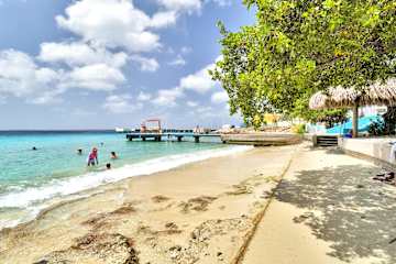 Chachacha Ocean View with a mature palm garden and spectacular ocean views