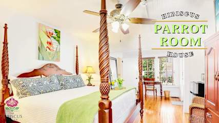 B&B Parrot Rm 1FL-KB