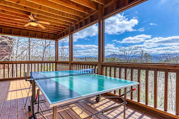 Teddy Bear Lodge