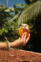 Patio caribeño | Villa de lujo en la selva con piscina