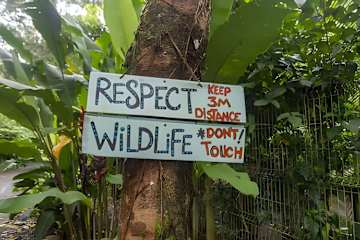 Up House · Caribbean Style near Playa Chiquita