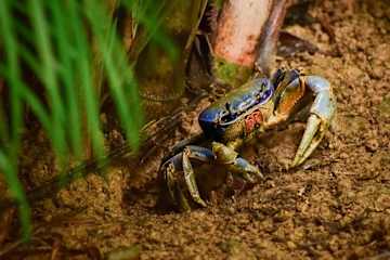 Up House · Caribbean Style near Playa Chiquita