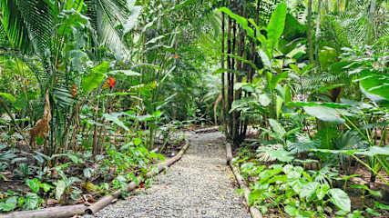 Up House · Caribbean Style near Playa Chiquita