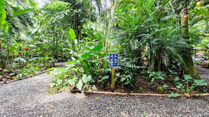 Up House · Caribbean Style near Playa Chiquita