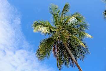 Up Houses · 3BR Private Retreat for 6 Guests