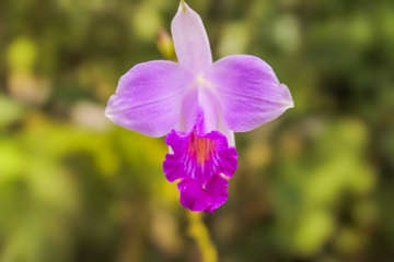 Mini Up House · Romantic Caribbean Escape for 2