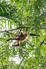 El Oasis Beachfront - Refugio frente al mar