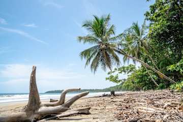 El Oasis Beachfront - Refugio frente al mar