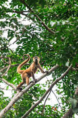 El Oasis Beachfront - Refugio frente al mar
