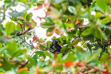 El Oasis Beachfront - Refugio frente al mar