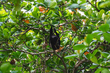 El Oasis Beachfront - Refugio frente al mar