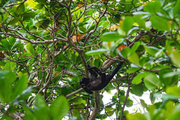El Oasis Beachfront - Refugio frente al mar