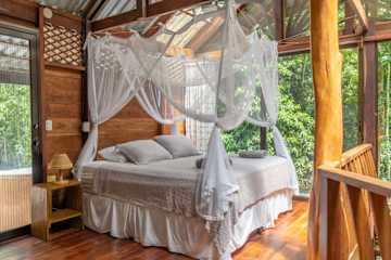 Casa Auratus: Jungle Paradise Near Gandoca Refuge