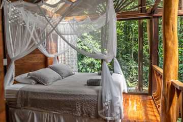 Casa Auratus: Jungle Paradise Near Gandoca Refuge