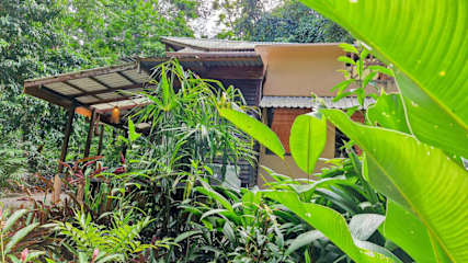 Casa Auratus: Jungle Paradise Near Gandoca Refuge