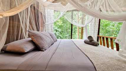 Casa Auratus: Jungle Paradise Near Gandoca Refuge