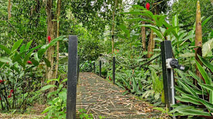 Casa Auratus: Jungle Paradise Near Gandoca Refuge