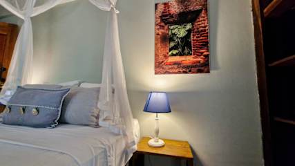 Casa Auratus: Jungle Paradise Near Gandoca Refuge