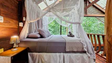 Casa Auratus: Jungle Paradise Near Gandoca Refuge