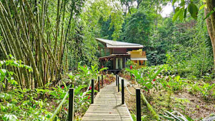 Casa Auratus: Jungle Paradise Near Gandoca Refuge
