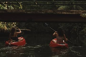 Casa Auratus: Jungle Paradise Near Gandoca Refuge