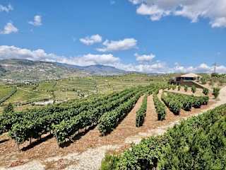 Douro Valley Luxury Home w Vineyard  Infinity Pool photo 5
