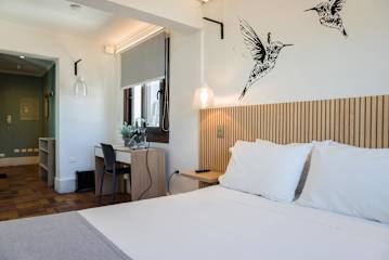 Chic Art Studio in Providencia | History and Style