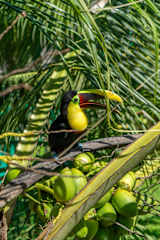 Raya Bungalow, aire acondicionado y piscina privada