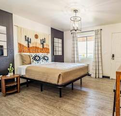 Bright & New | Blackout Blinds | Near I10