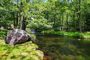 Lazy Bear Lodge (Poconos)