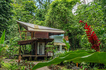 Casa Auratus: Jungle Paradise Near Gandoca Refuge