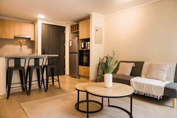 Spacious Apartment in Central Santiago with Gym