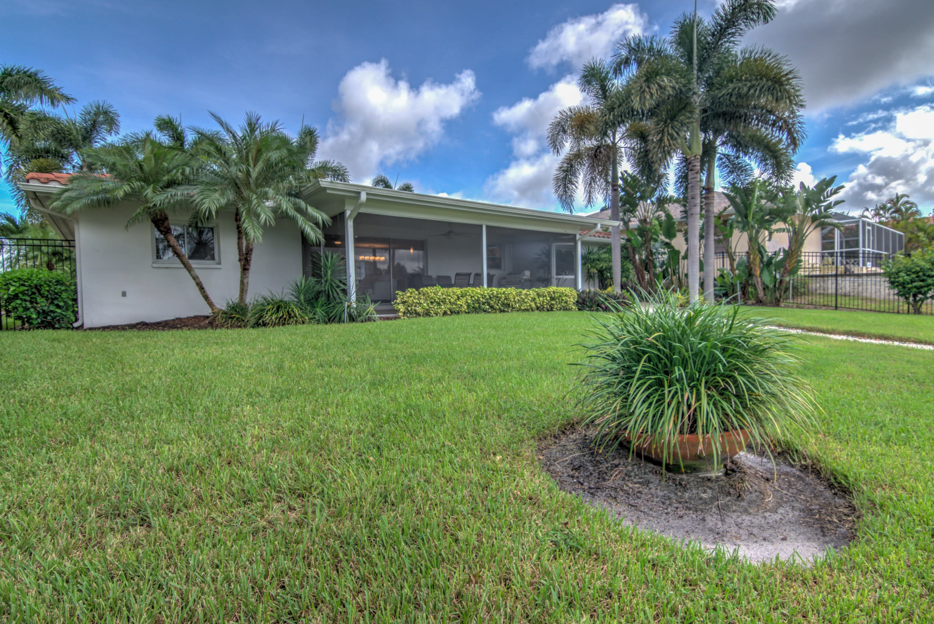The Backyard Has Plenty of Grass for Dogs to Run Around