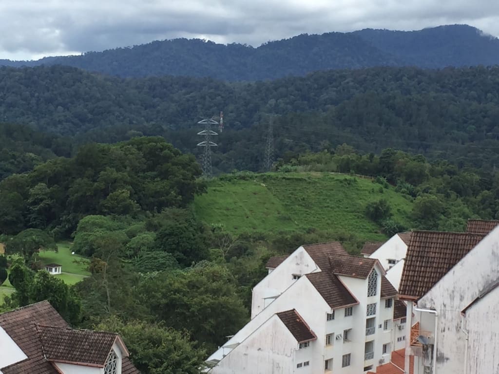 View 9