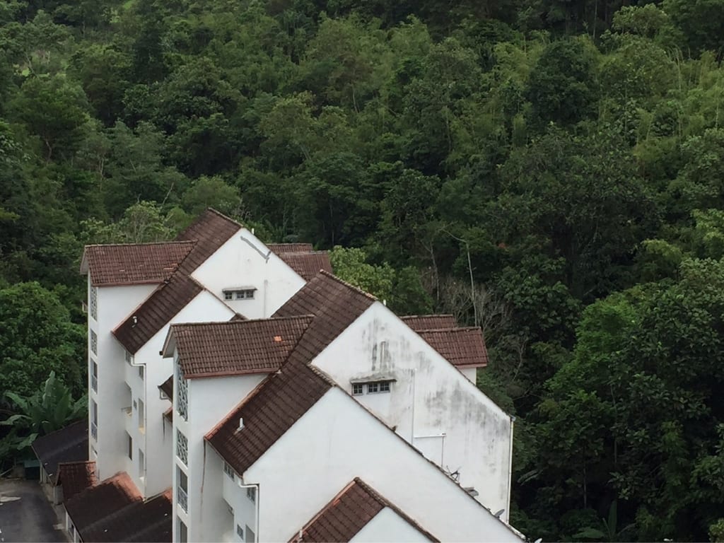 View 10