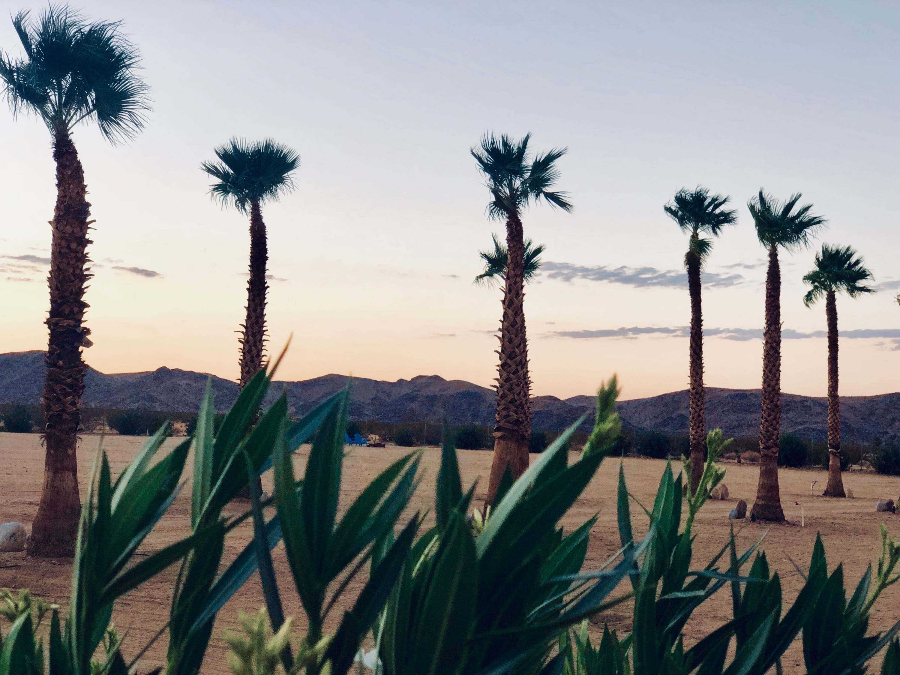 Camp #3 with Cowboy Pool — Joshua Tree, CA — vacation rental