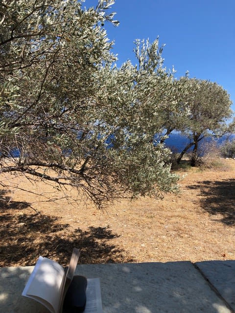 View 6