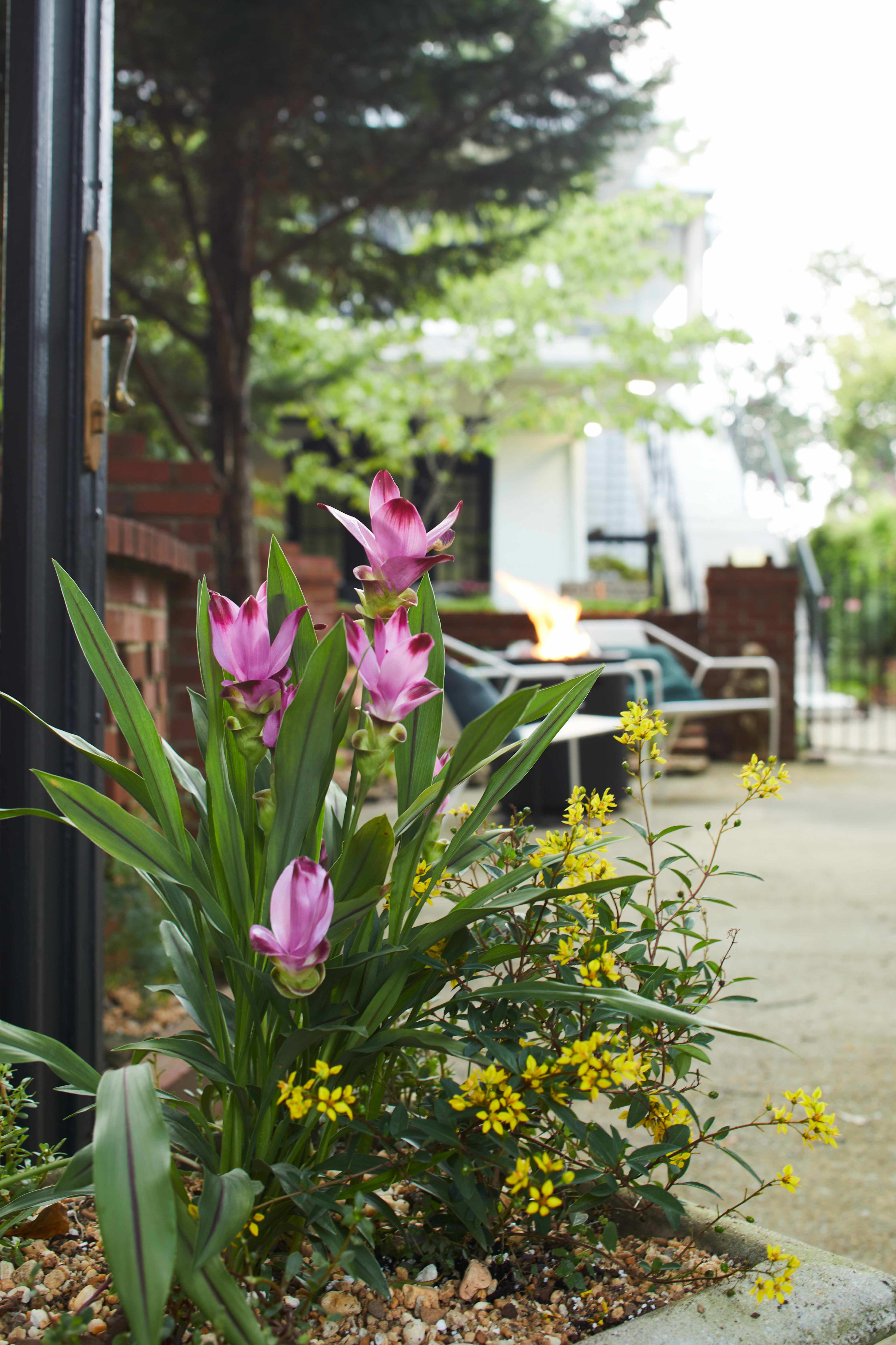 Apt1@EdenBrae - Serene, Walkable, Modern Retreat, Named Best in Bham - Picture 21