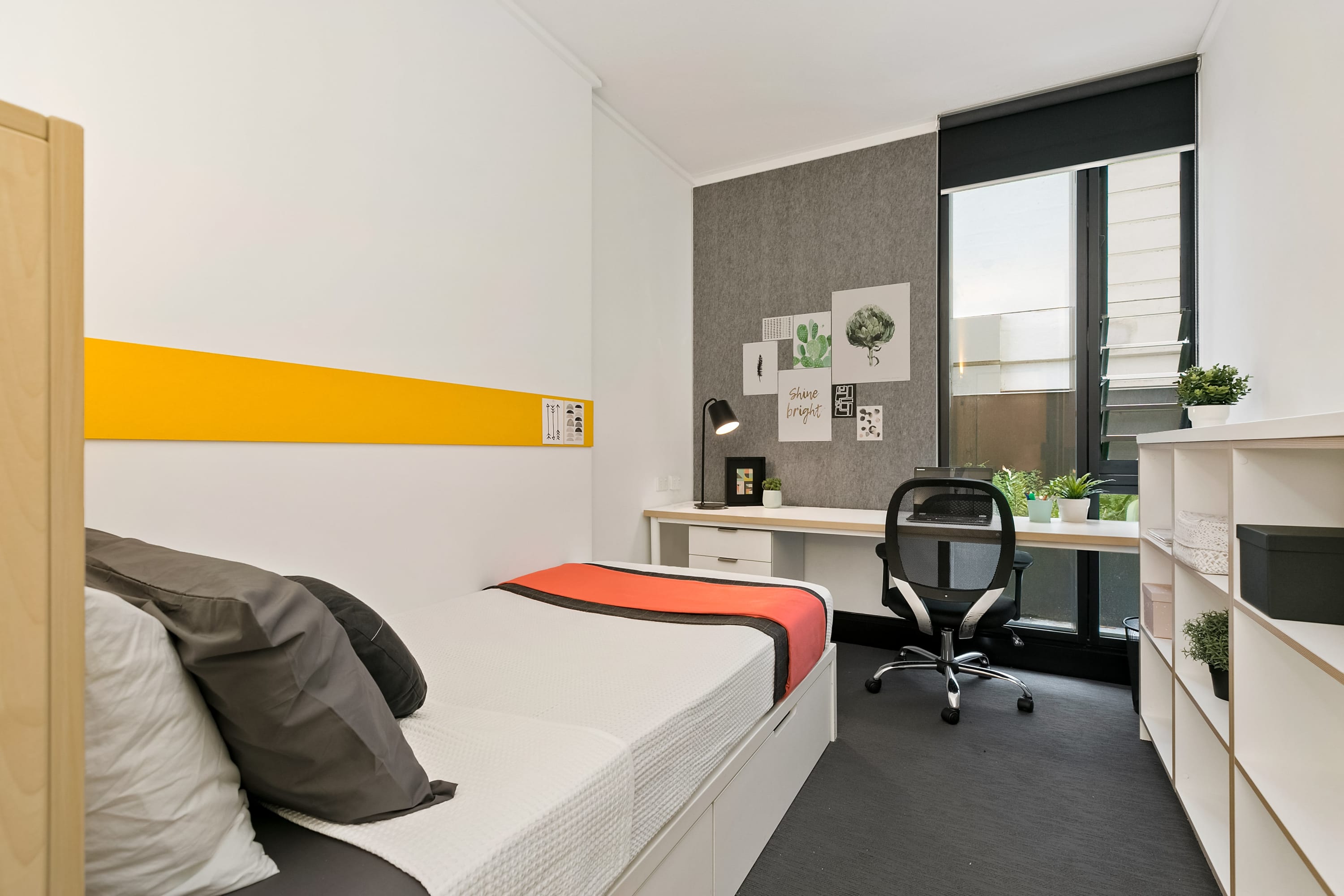Sydney IGLU Chatswood 5-Bedroom Shared Apartment (with Private Ensuite) - 2 — Sydney, New South Wales — vacation rental