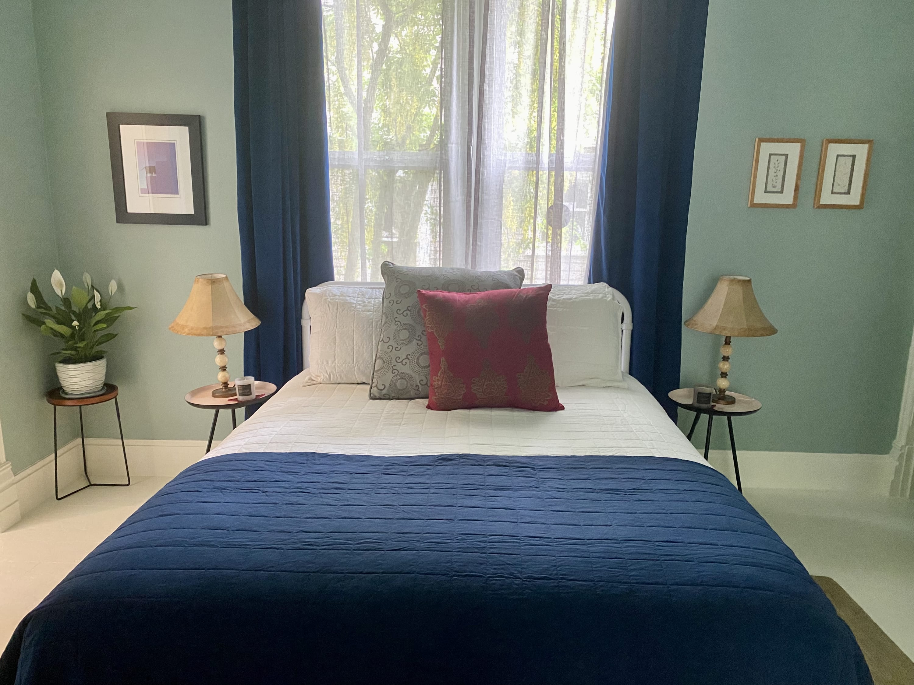 ********: Downtown and Dog-Friendly
