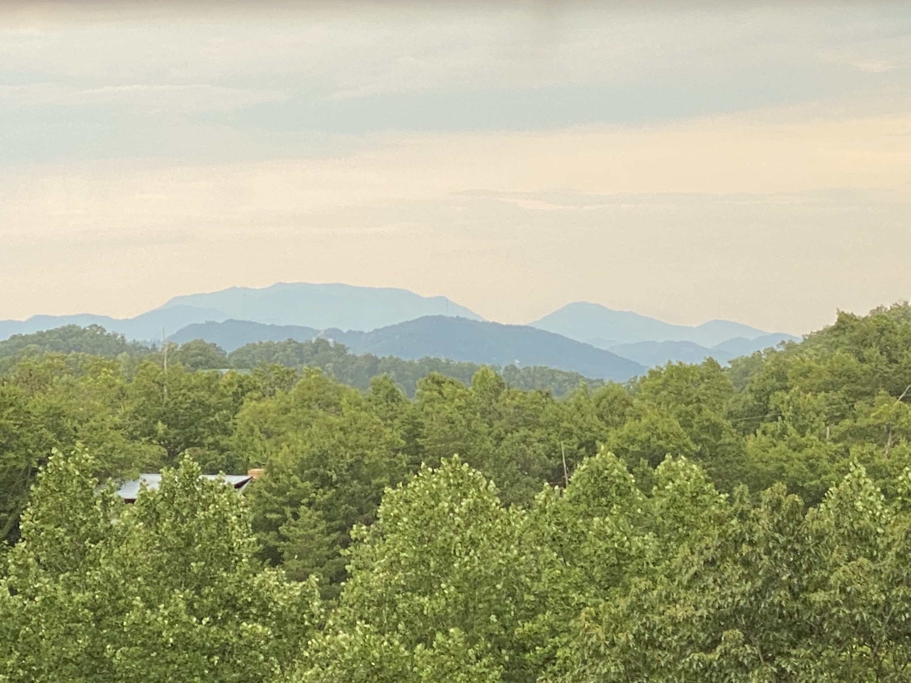 View 10