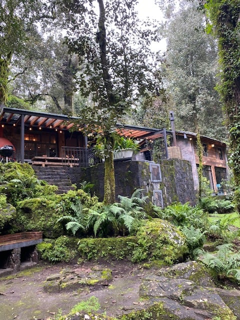 CABANA en el bosque TRANQUILIDAD ABSOLUTA, UNICO - Picture 11