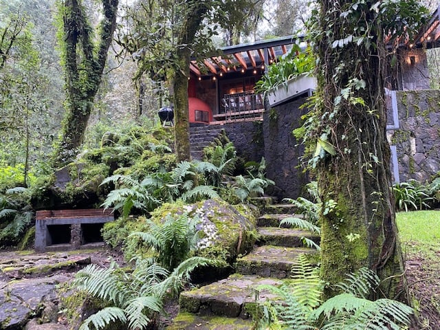 CABANA en el bosque TRANQUILIDAD ABSOLUTA, UNICO - Picture 9