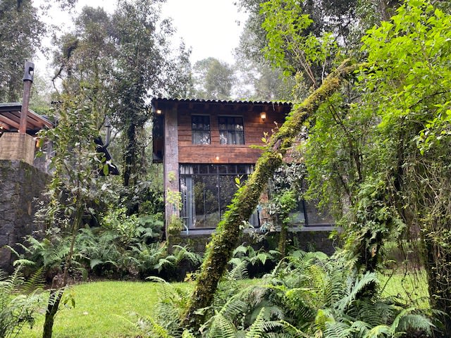 CABANA en el bosque TRANQUILIDAD ABSOLUTA, UNICO - Picture 6