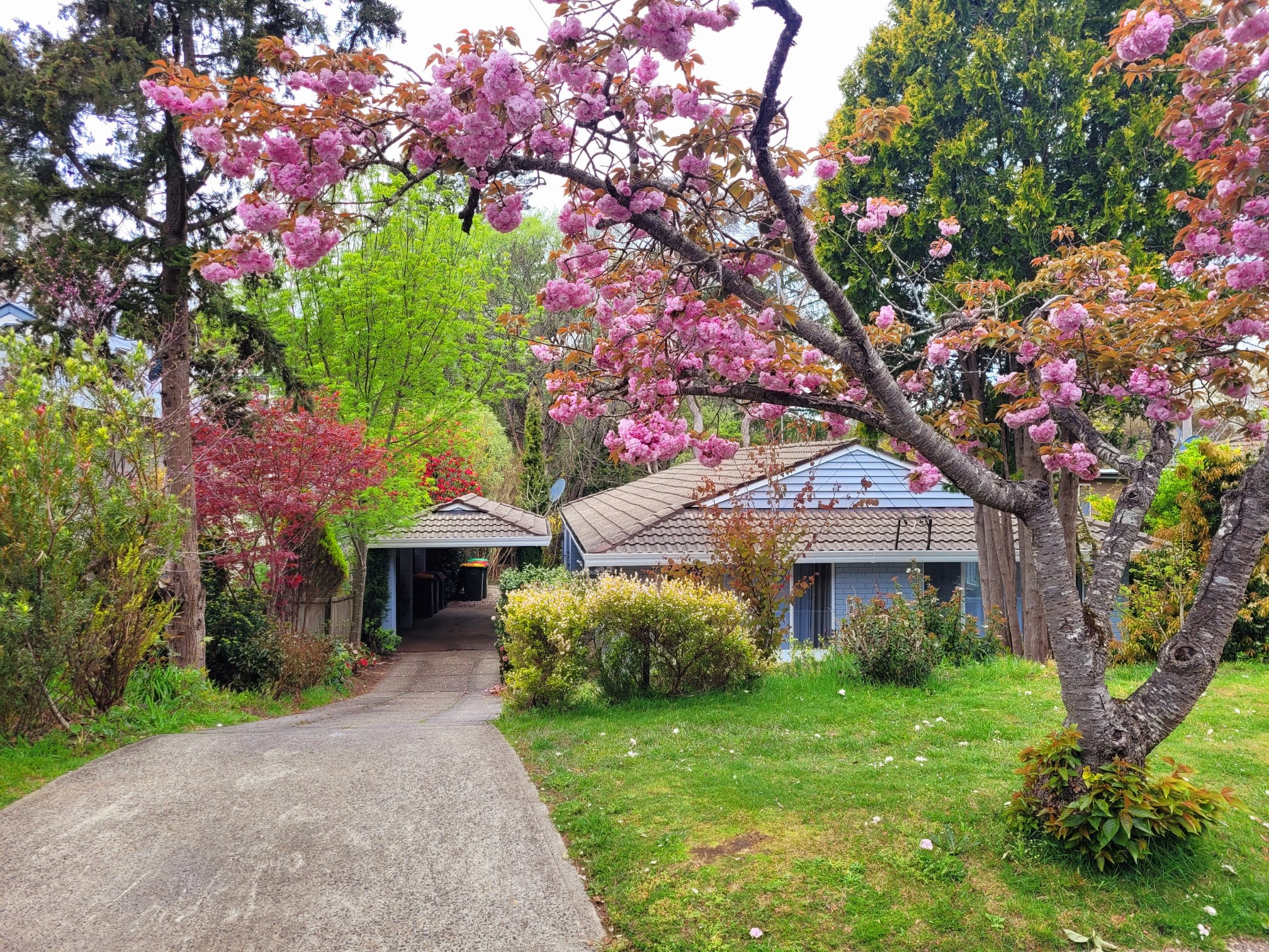 LTL - Abbey House/Gardens/Fireplace/Pet-Friendly — Leura, New South Wales — vacation rental