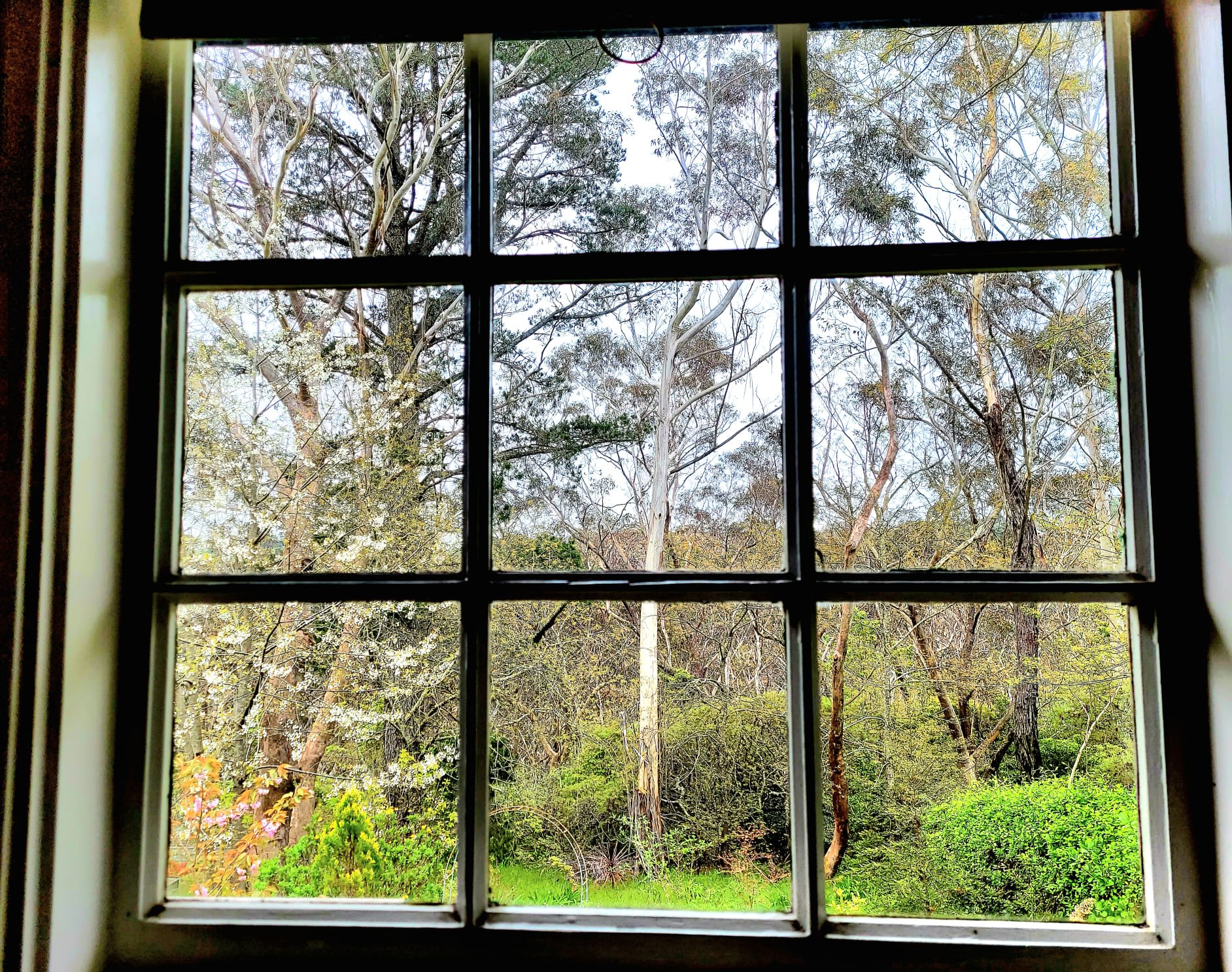 View 5